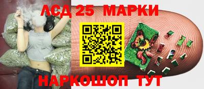 индика Апрелевка
