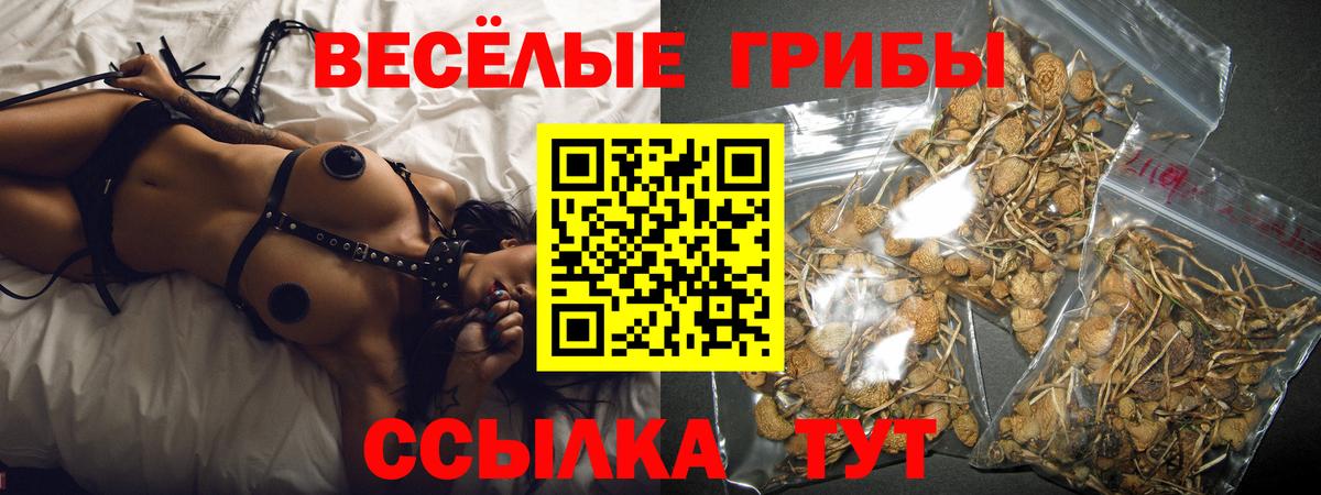 Псилоцибиновые грибы Cubensis Астрахань